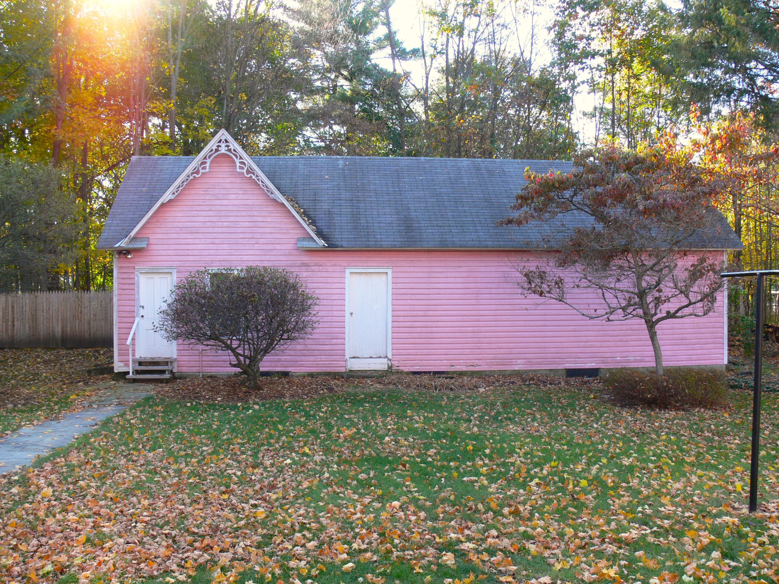 Fossil House